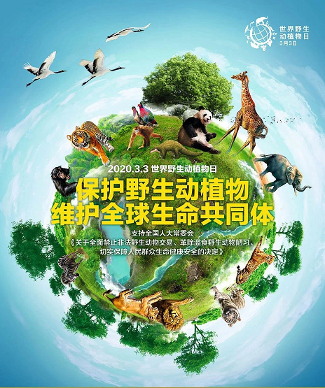 XPJ(�й���)�ٷ���վ