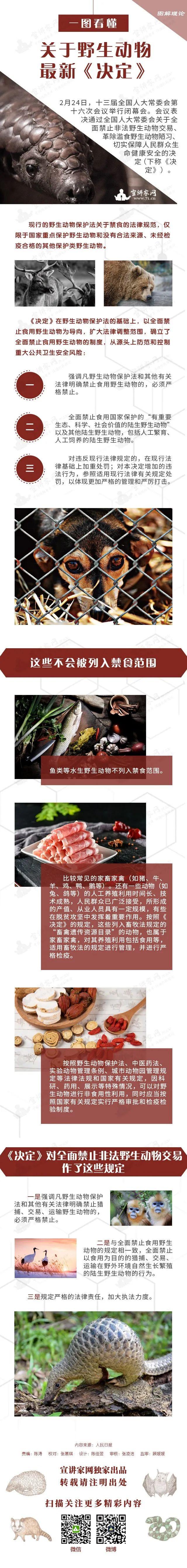 XPJ(�й���)�ٷ���վ